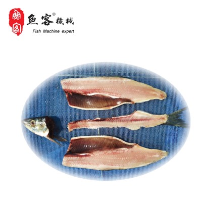 中型去中骨开片机图3