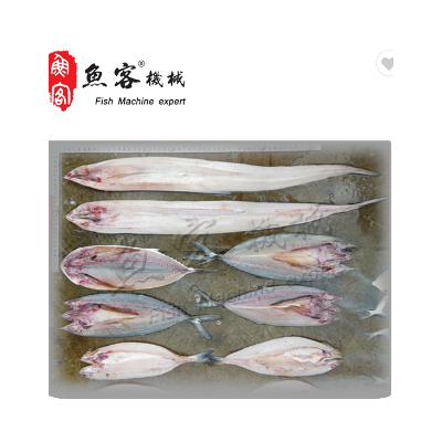 小型鱼开背机图2