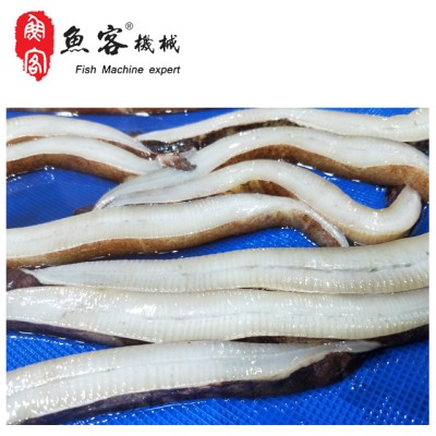 鱿鱼切圈，切条机图5